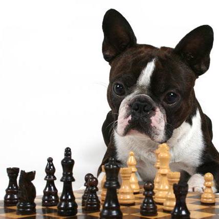 Angelos Perivolaropoulos